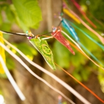 glass-bunting