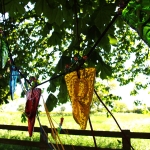 tree-dressing-with-glass-bunting